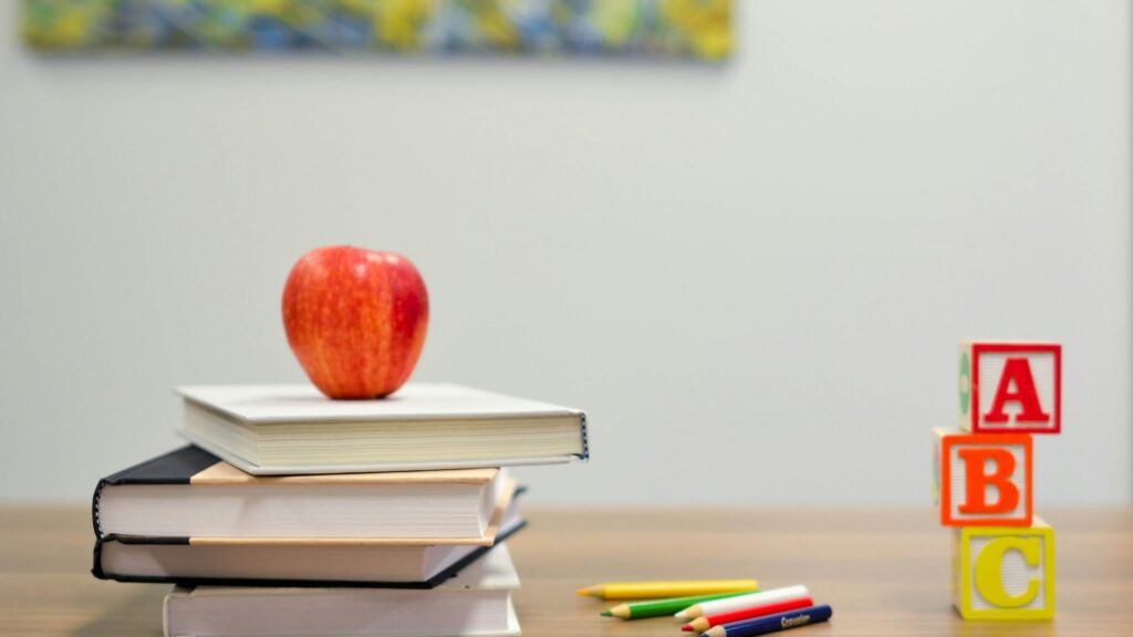 Façade scolaire en bois et patios plantés